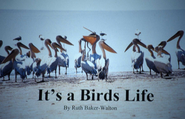 Its A Birds Life Illustrated Talks by Ruth Baker Walton